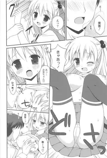 [Chidorinu] Rensou Otome Fhentai - Page 106