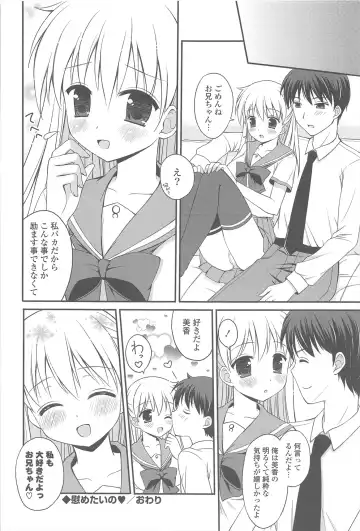 [Chidorinu] Rensou Otome Fhentai - Page 114