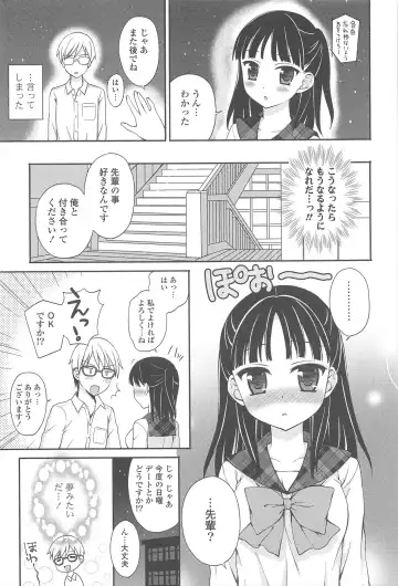 [Chidorinu] Rensou Otome Fhentai - Page 65