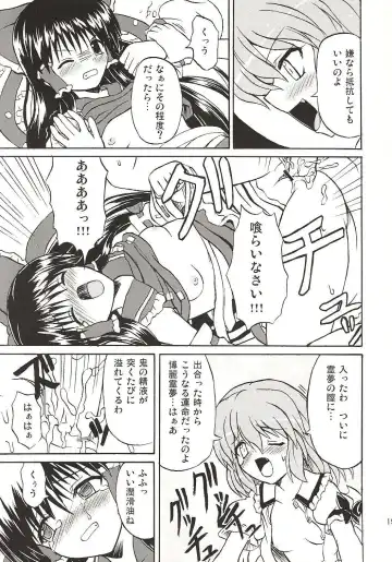 [Takaku Toshihiko] Touhou Youjo Ranbu 4 Fhentai - Page 18