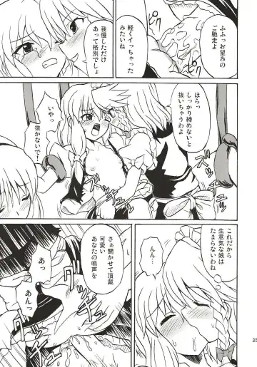 [Takaku Toshihiko] Touhou Youjo Ranbu 4 Fhentai - Page 34
