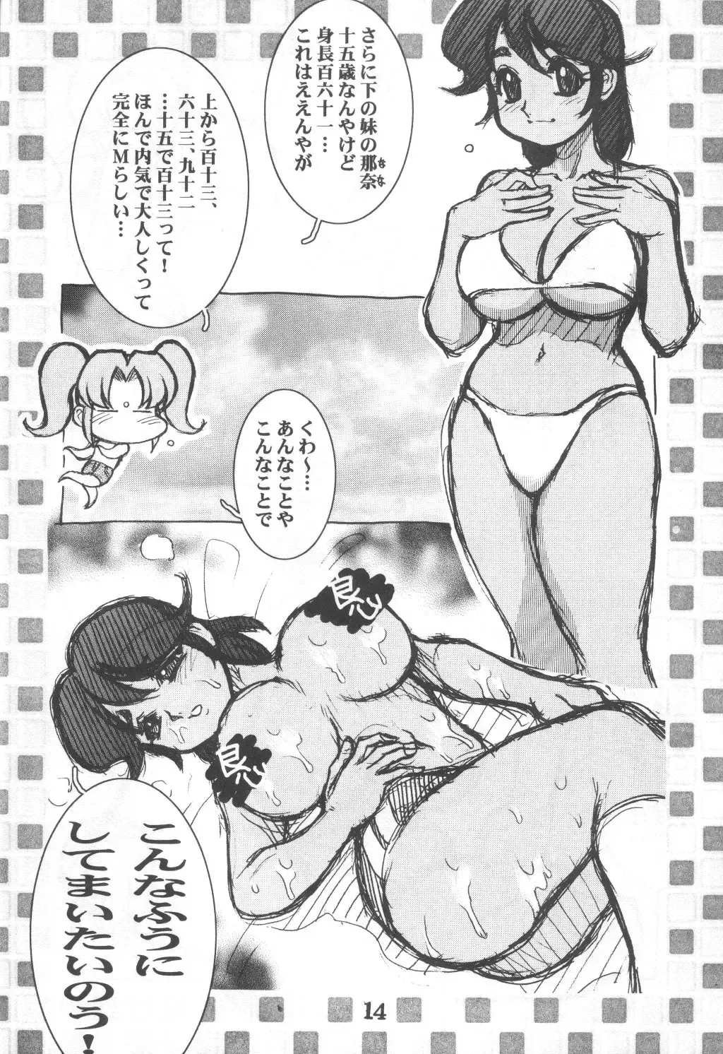 [Koshow Showshow] Koshou Sunzen Koshouchuu 8 Junbigou Ayase-ke No Hitobito Fhentai - Page 14