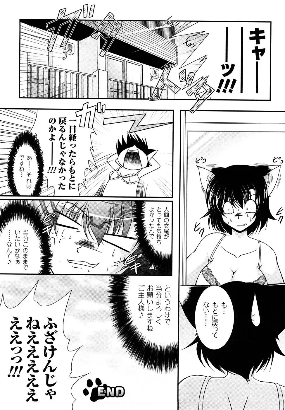 [Oohashi Takayuki] Kaitou Blue Rice Child Fhentai - Page 147
