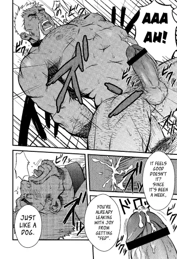 [Mizuki Gai] Things Meant for Domestication Fhentai - Page 12