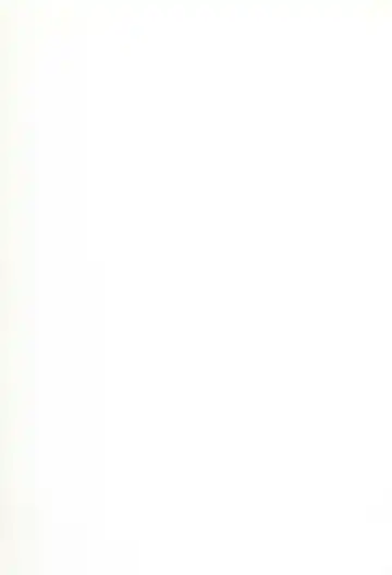 [Himenogi Apo] Kousoku Tsuushin Release Candidate 2 Fhentai - Page 49