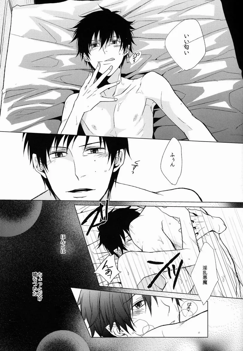 [Satonishi] Shandy Fhentai - Page 12