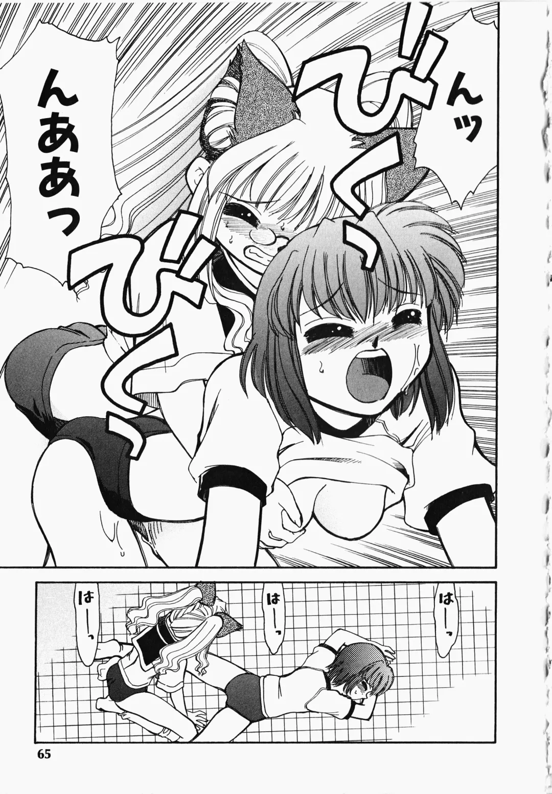 [Mizuki Hitoshi] Shippo no Kimochi Fhentai.net - Page 66