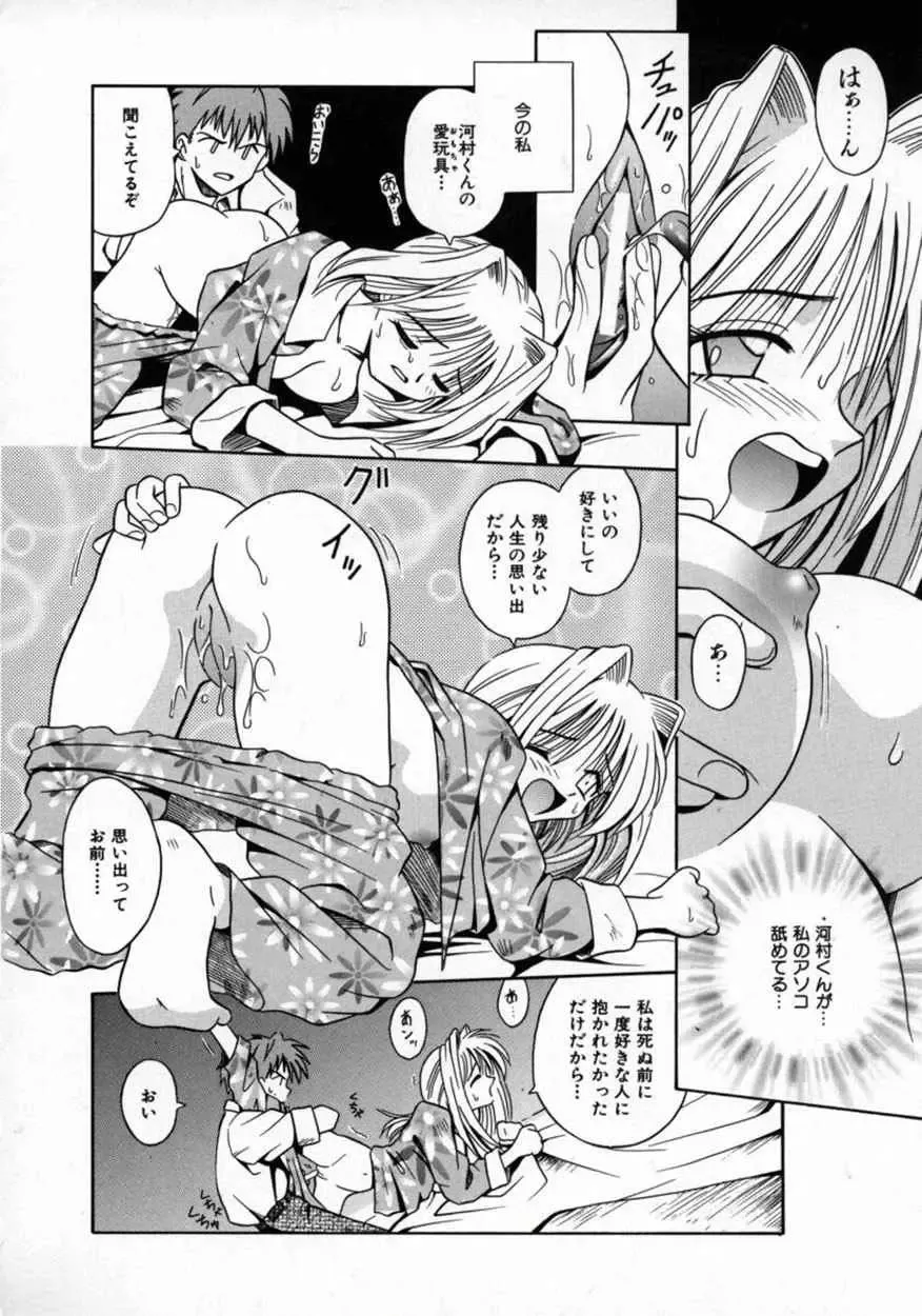 [Matra Milan] Fukan Kuukan Fhentai - Page 85