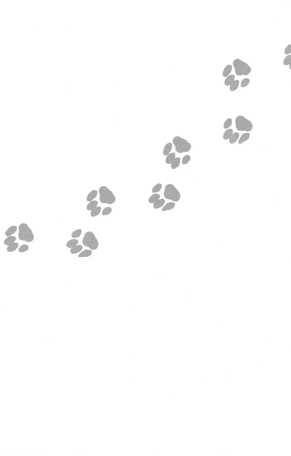 [Sabawo] 103 Goushitsu no Neko Fhentai - Page 25