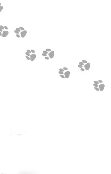 [Sabawo] 103 Goushitsu no Neko Fhentai - Page 12