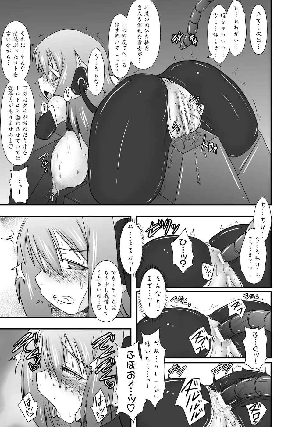 [Ryutou] Shield Knight Elsain Vol. 11 NETHER LABORATORY Fhentai - Page 16