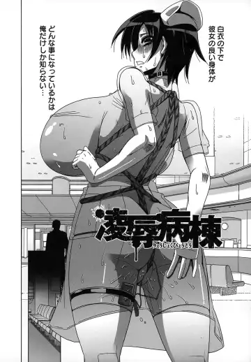 [Hg Chagawa] Mesuinu no Hibi Fhentai - Page 148