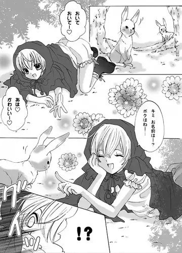 Akazukin-chan to Ookami no Hanashi Fhentai - Page 4