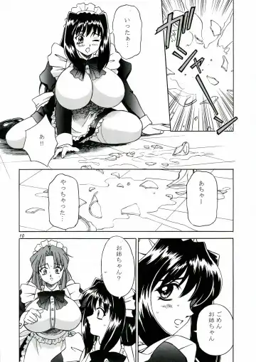 [Akiba Wataru] DOLLS DIARY 4 Fhentai - Page 10