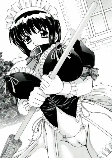 [Akiba Wataru] DOLLS DIARY 4 Fhentai - Page 23