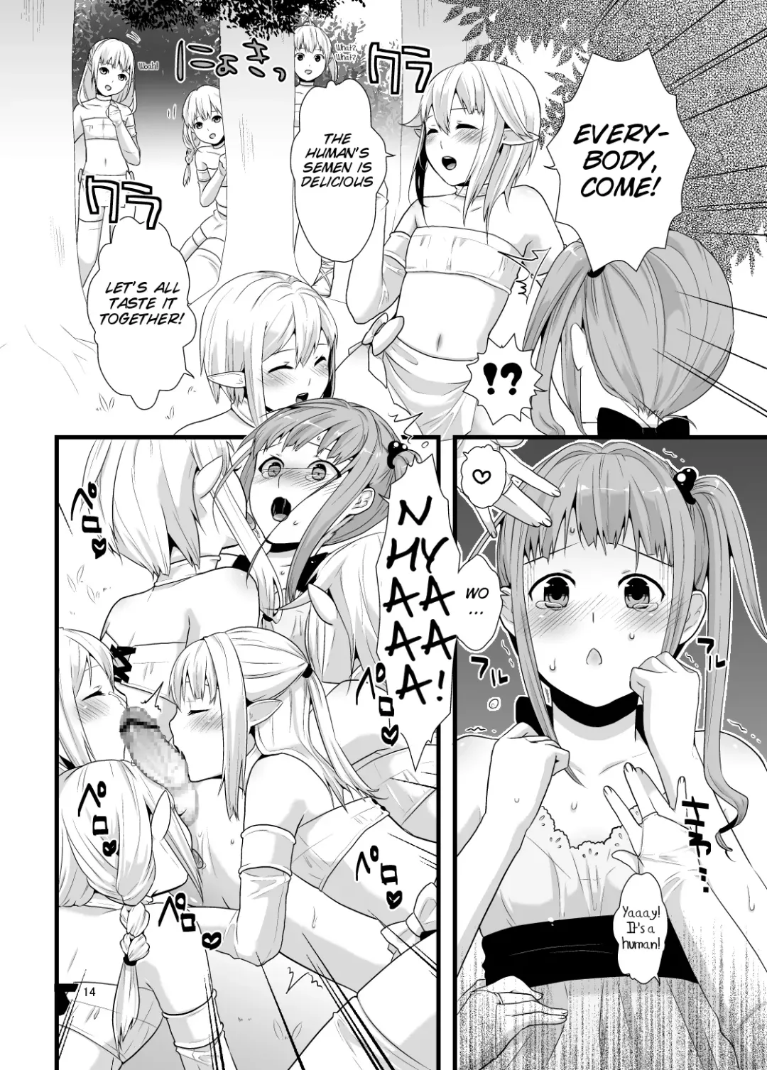 [Lucie] Mayoi no Mori no Otokonoko Fhentai - Page 13