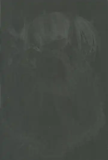 [Chomes] Youjo Monzetsu Tengoku 3 Fhentai - Page 31