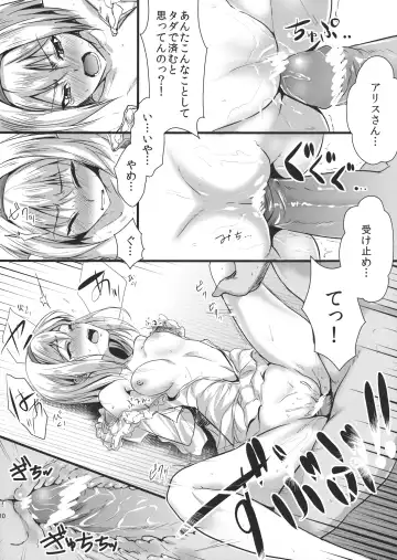 [K2isu] Boku wa "Alice Margatroid" ga Suki da. Fhentai - Page 10