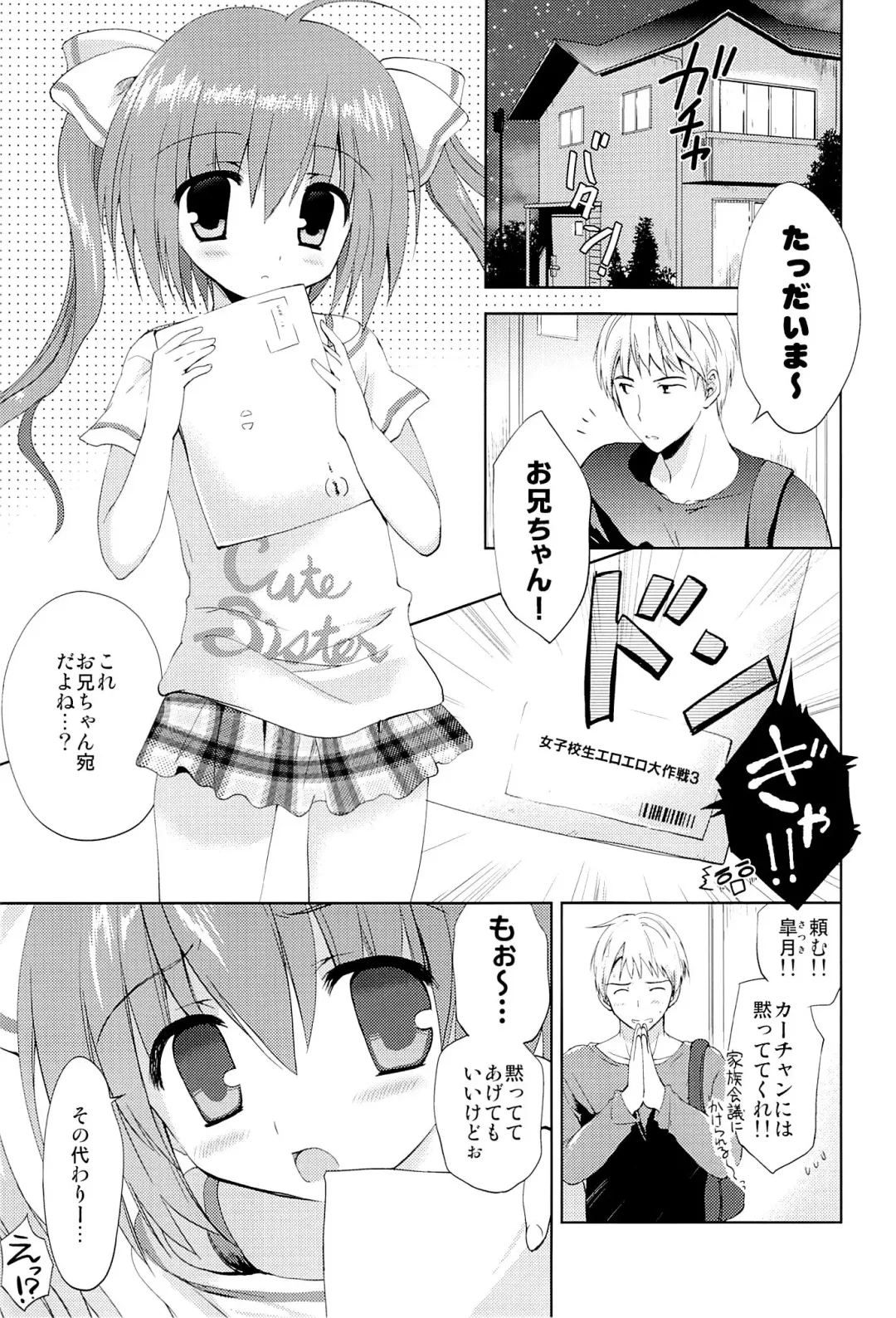 [Korisu] Takuhai Terror ni Attara Imouto to H Dekite Shimatta Fhentai.net - Page 2