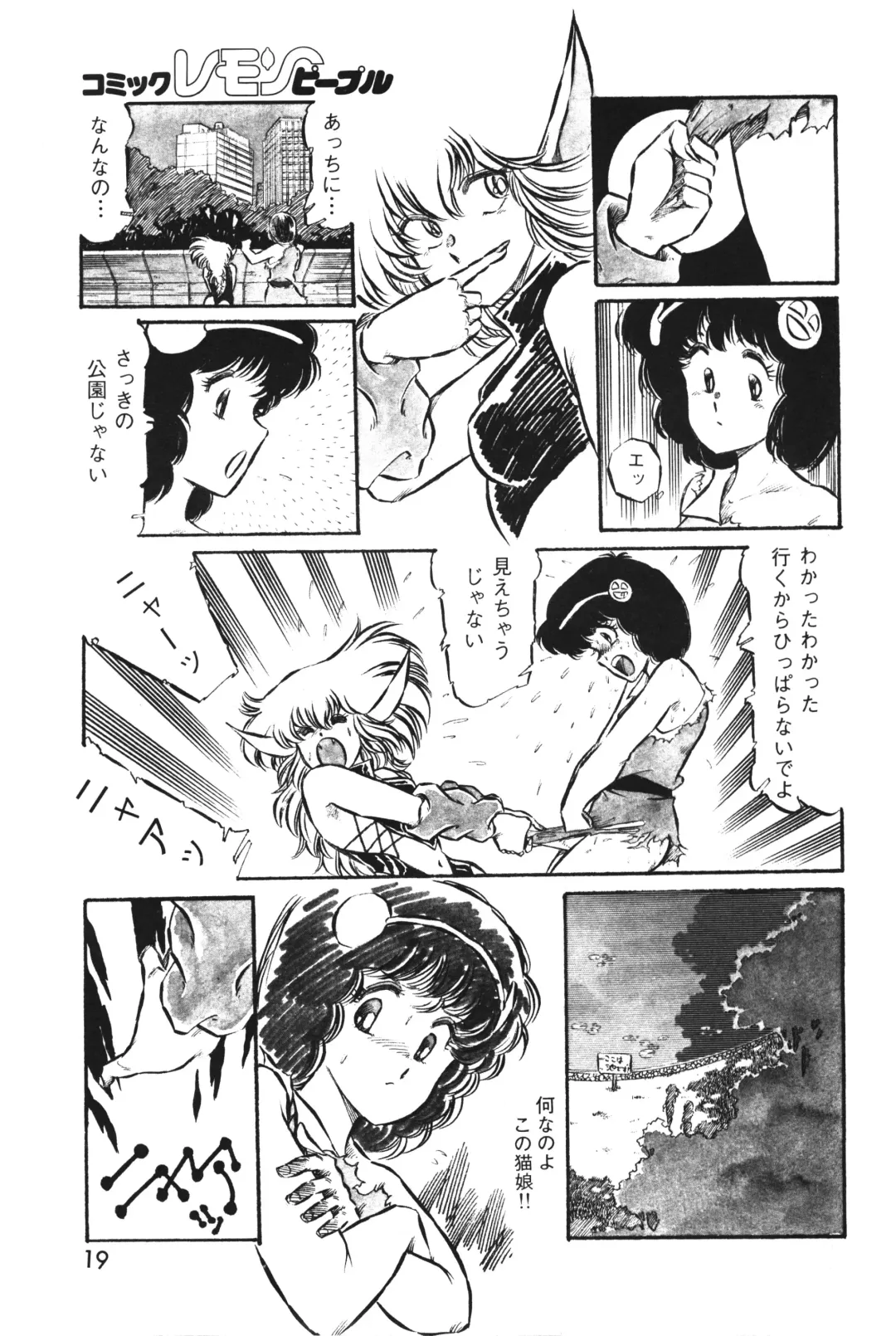 Lemon People 1983-10 Vol. 21 Fhentai - Page 20