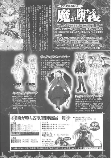 Slave Heroines Vol. 7 Fhentai - Page 26