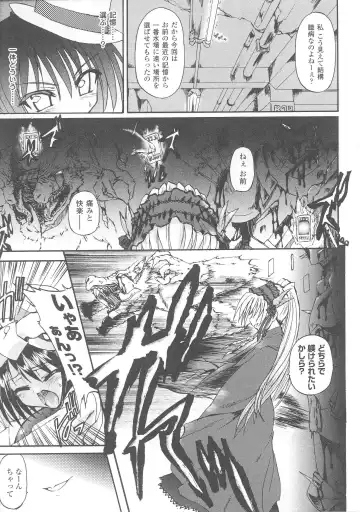 Slave Heroines Vol. 7 Fhentai - Page 31