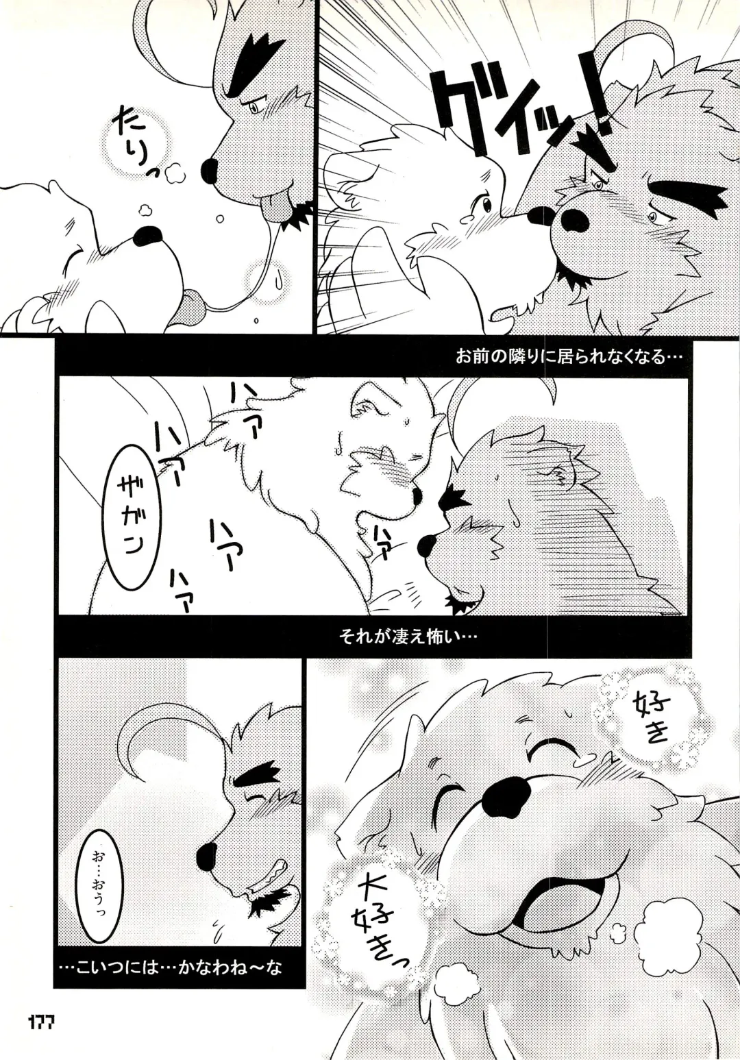 Kuma Bon Ni -BURLY BEARS- Fhentai - Page 176