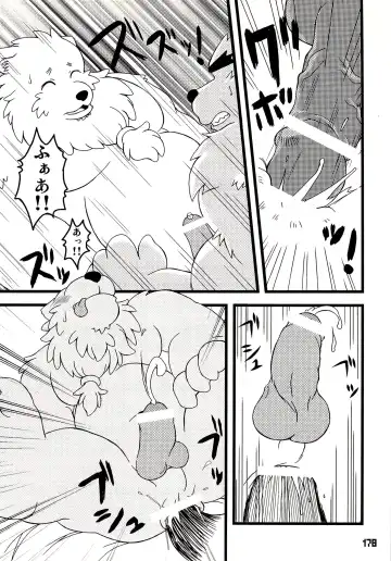 Kuma Bon Ni -BURLY BEARS- Fhentai - Page 177
