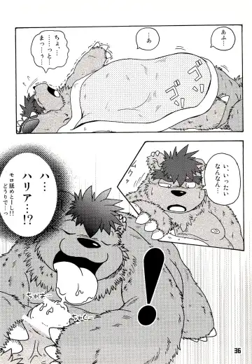 Kuma Bon Ni -BURLY BEARS- Fhentai - Page 35