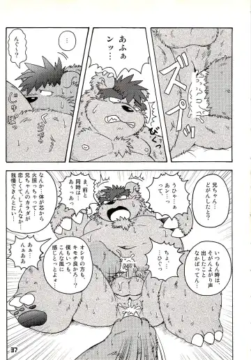 Kuma Bon Ni -BURLY BEARS- Fhentai - Page 36