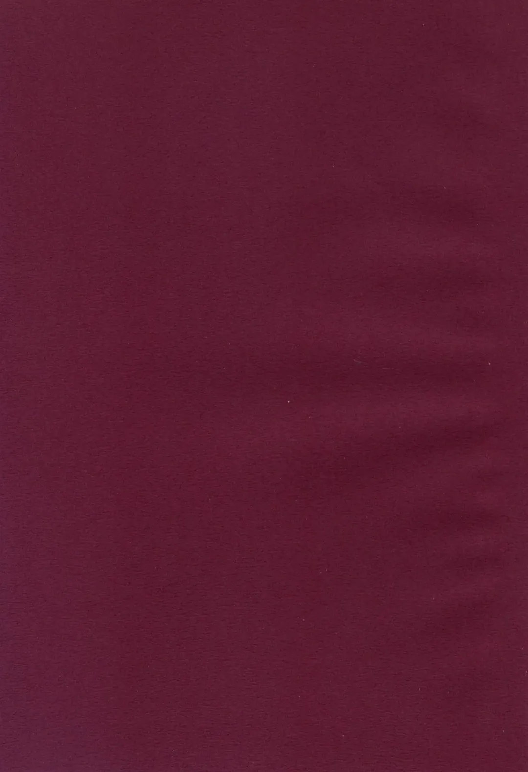 [Mei - Nikusyo] Yosuzume no Itazura Fhentai - Page 2