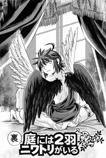 [Karasuma Pink] Niwa ni wa 2-wa Niwatori ga Iru Fhentai - Page 27