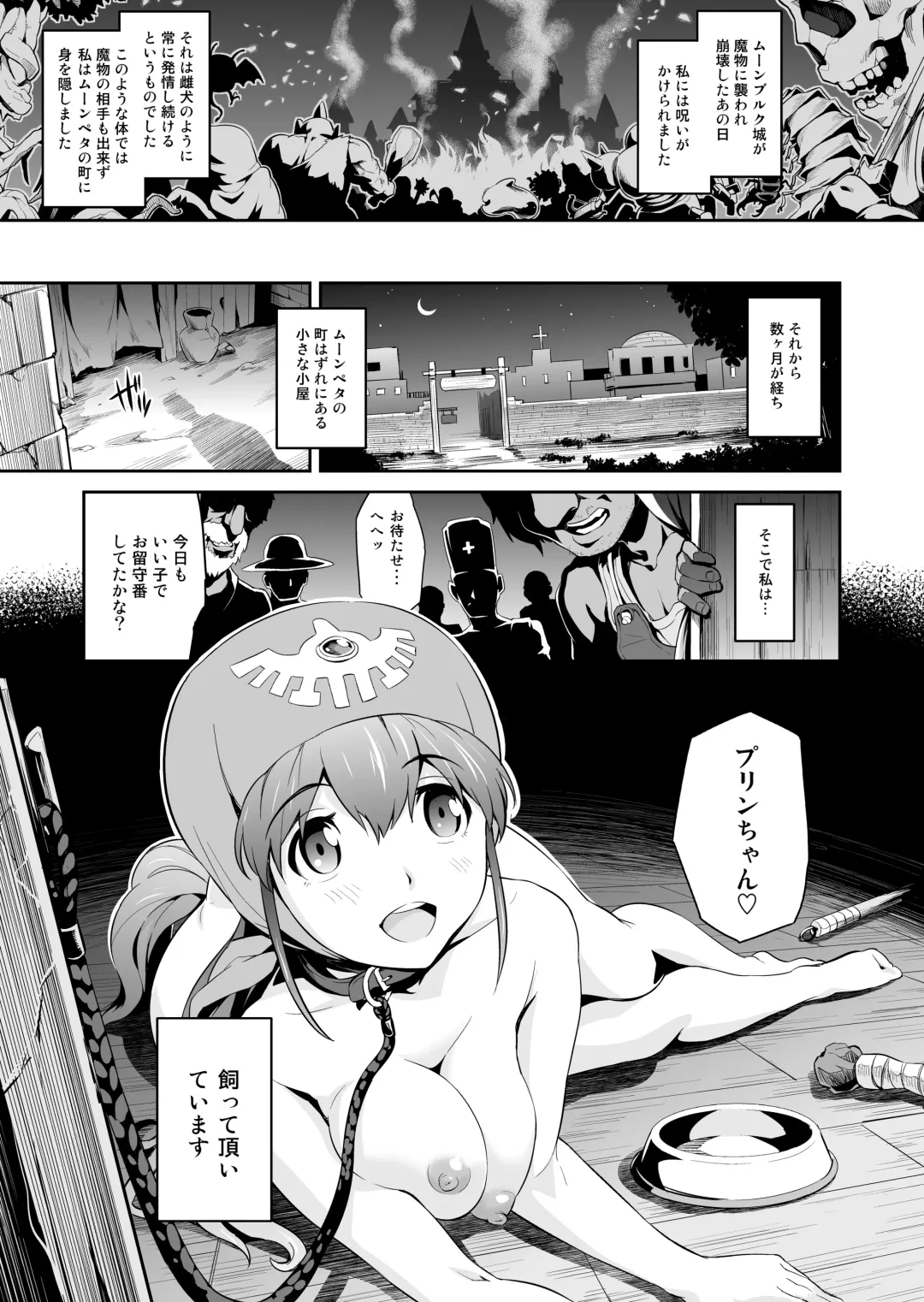 [Todoroki Shin] Shinsetsu Inu ni Natta Oujo-sama Fhentai - Page 5