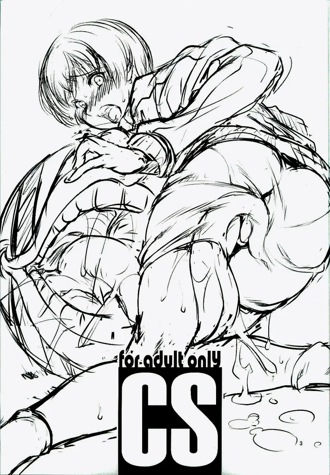 [Miharu] CS Fhentai - Page 2