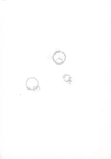 [Denjiro] Love Pet 1x1 Fhentai - Page 159