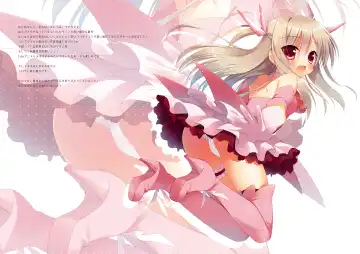 [Ichiri] Illya ga Imouto nara Shikatanai! Fhentai - Page 14