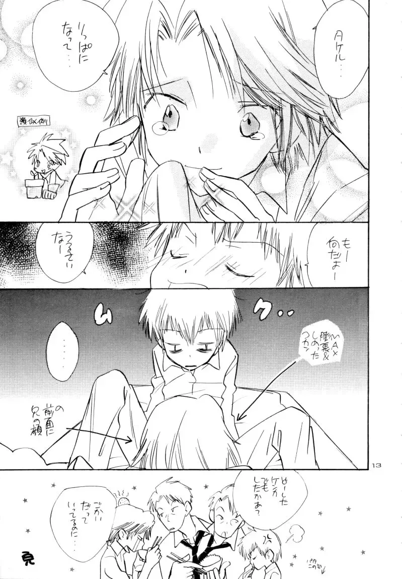 Zenda Shiro no Toriko Fhentai - Page 14