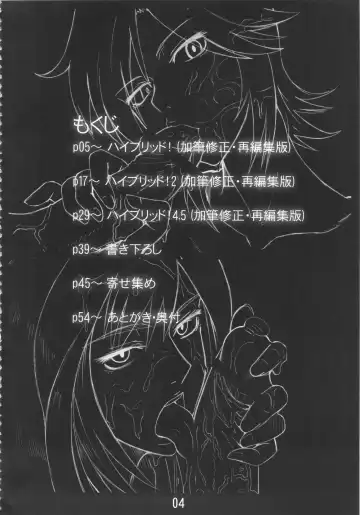 [Shoutarou] Hybrid! ARCHIVE Fhentai - Page 3