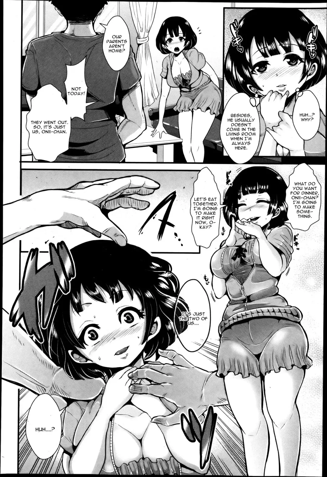[Shomu] Ani to Imouto Fhentai - Page 4