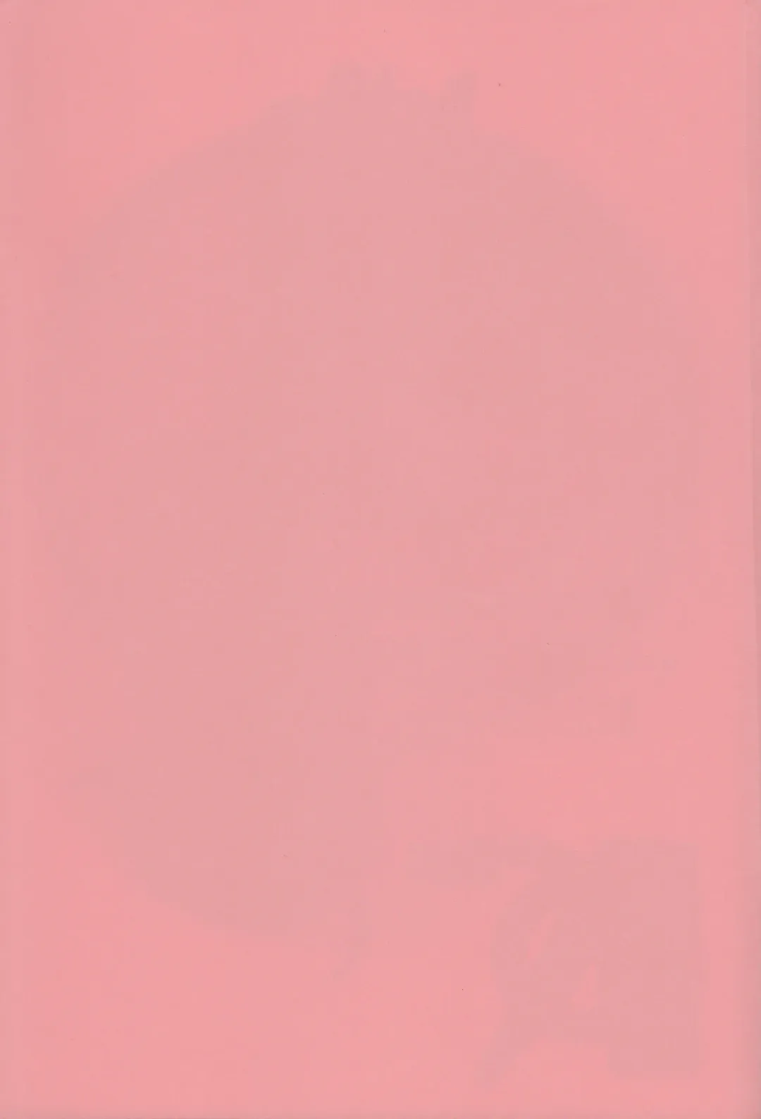 [Kobayashi Masakazu] PiyoAfu?M@STER Fhentai - Page 29