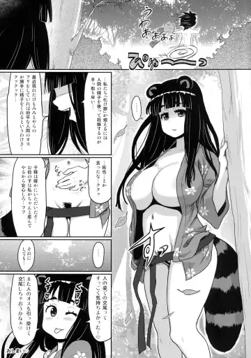 [Ryoji] Kemomimi! 5 ~Tanuki Musume Toujou Hen~ Fhentai - Page 25