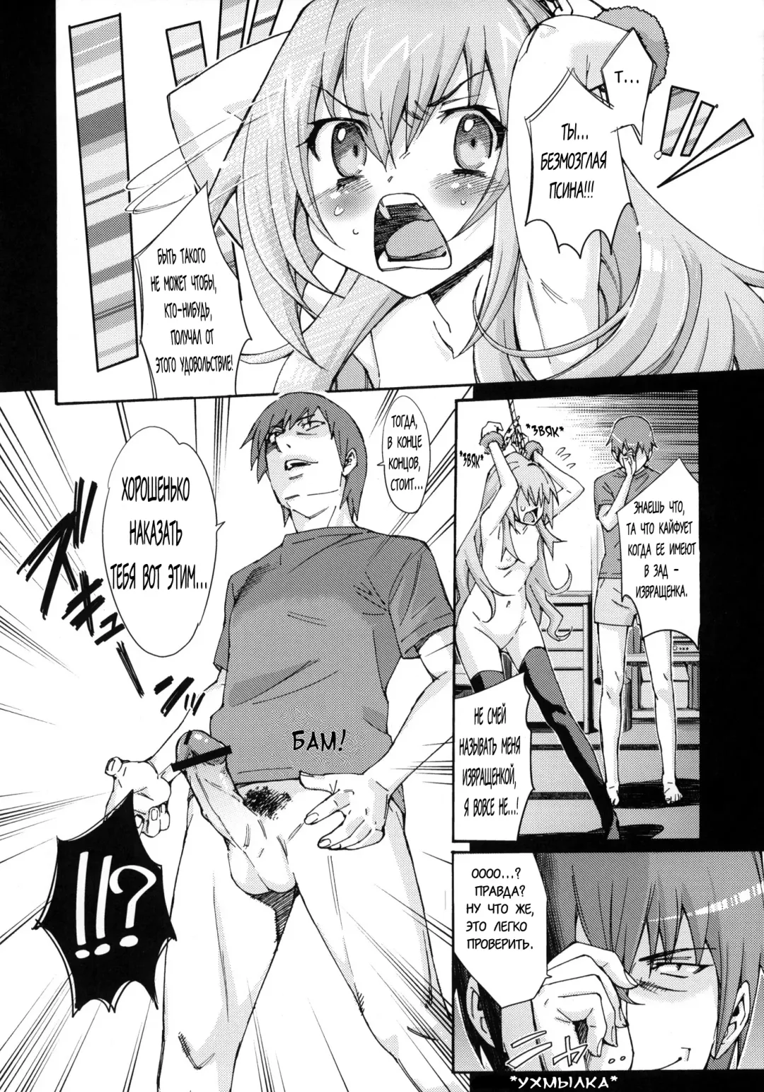 [Tehen] Taiga no Jouzu na Shitsukekata Fhentai - Page 13