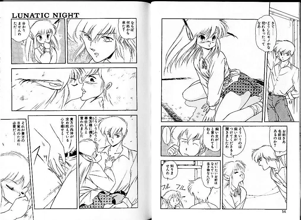 [Mii Akira] Lunatic Night 1 Fhentai - Page 11