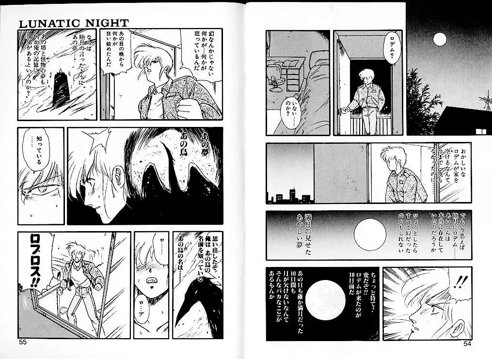[Mii Akira] Lunatic Night 1 Fhentai - Page 31