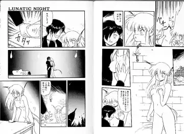 [Mii Akira] Lunatic Night 1 Fhentai - Page 29