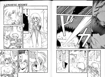 [Mii Akira] Lunatic Night 1 Fhentai - Page 32