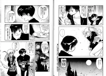 [Mii Akira] Lunatic Night 1 Fhentai - Page 65