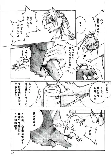 ZooCanEX SYRU-DRA 2 Fhentai - Page 36