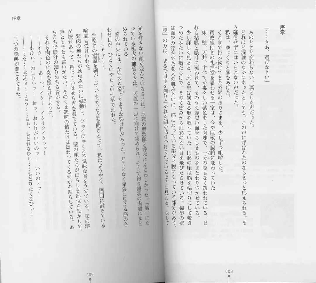 [Chiba Toshirou] Shiro no Rakuin I Fhentai - Page 6