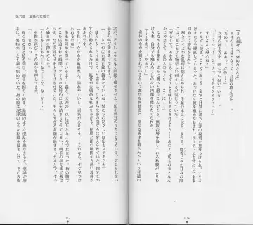 [Chiba Toshirou] Shiro no Rakuin II Fhentai - Page 41